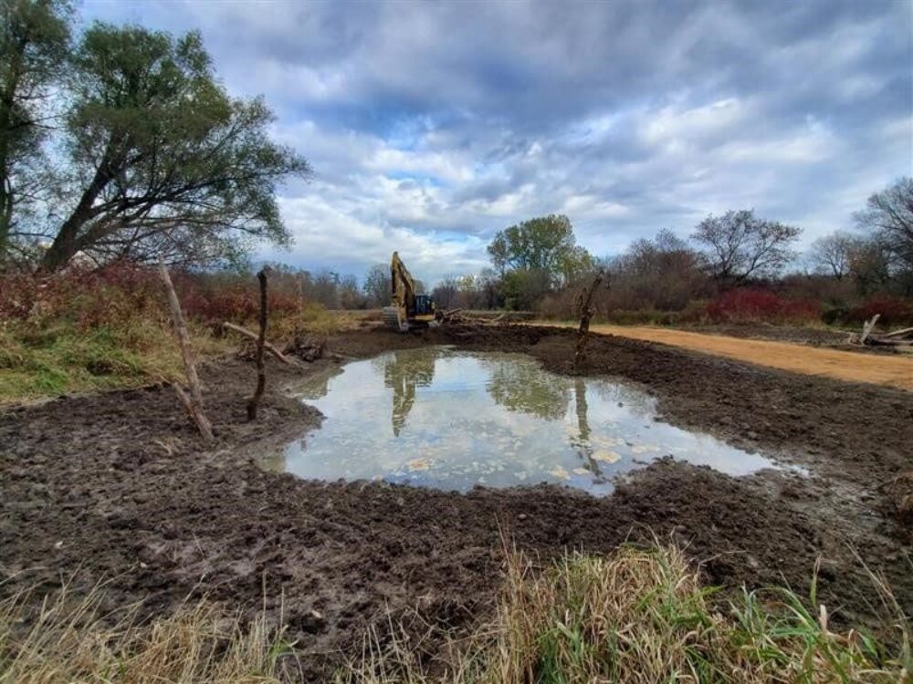 Small wetland helps preserve natural space on Lower Duffins Creek