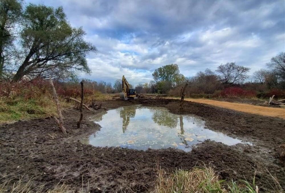 The newly created small wetland provides habitat for wetland-dependent wildlife, increases forest and wetland cover and connectivity, and helps reduce flooding.