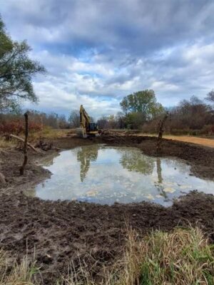 Small wetland helps preserve natural space on Lower Duffins Creek