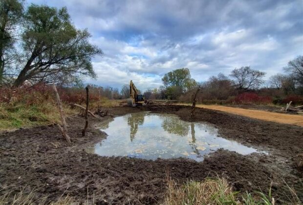 Small wetland helps preserve natural space on Lower Duffins Creek