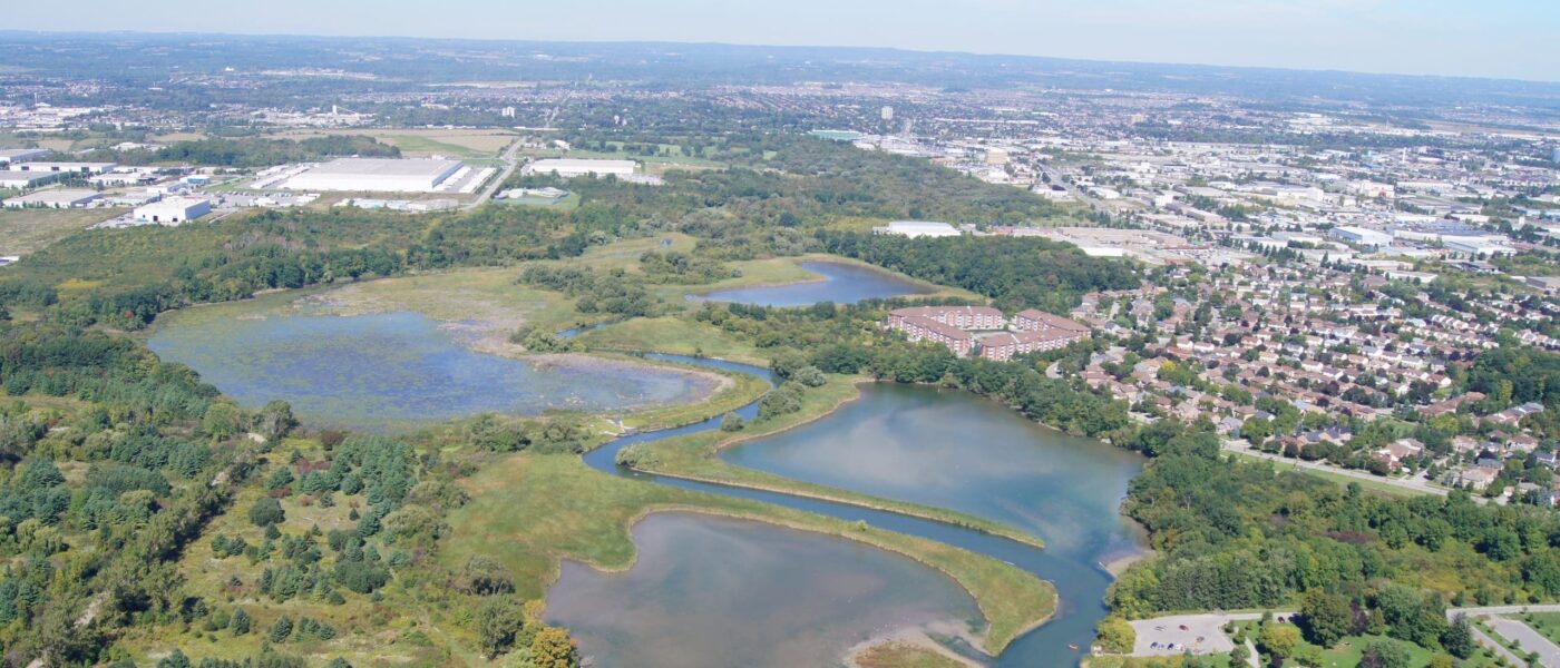 Aerial view of wetland habitat above the outflow of Lower Duffins Creek into Lake Ontario. The creek’s source is in the uplands of the Oak Ridges Moraine.
