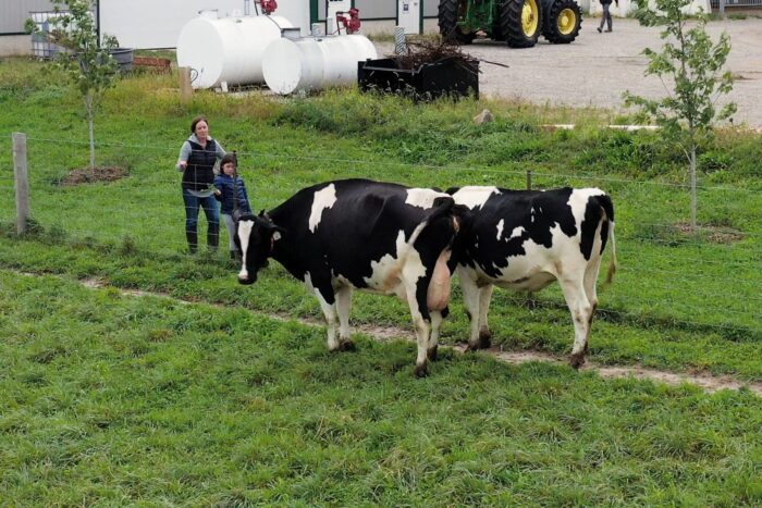 Mary Ann Doré and her extended family operate their dairy farms in Wellington County, Ont.