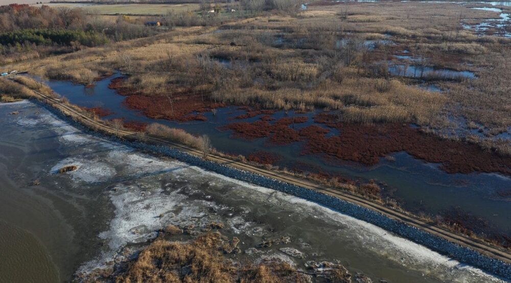 Restoration secures rare and critically important Hillman Marsh