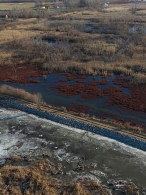 Restoration secures rare and critically important Hillman Marsh