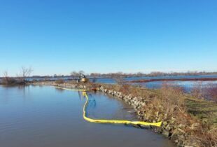 Restoration renews Hillman Marsh on the shores of Lake Erie