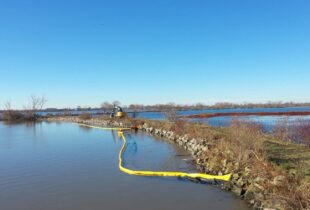Restoration renews Hillman Marsh on the shores of Lake Erie