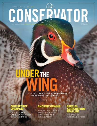 Conservator Magazine