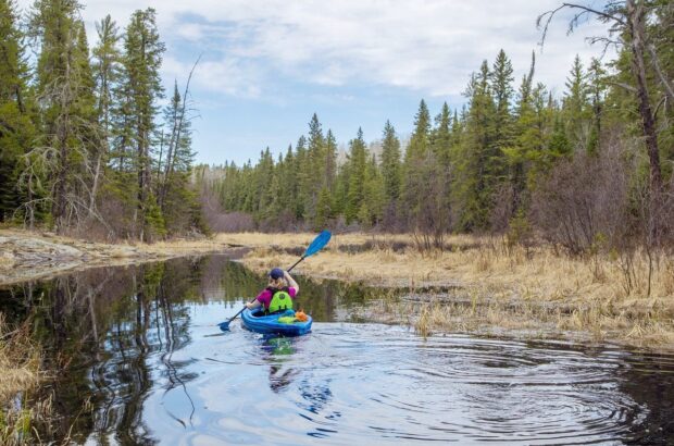 Paddling solo in a boreal wetland.