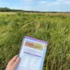Alberta Wetland Classification System Field Guide