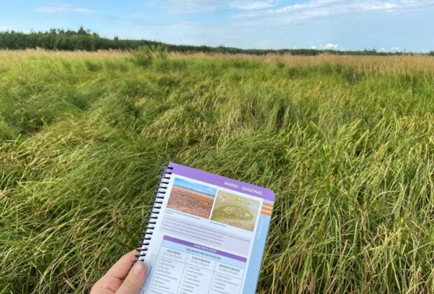 Ducks Unlimited Canada delivers a new made-for-Alberta wetland field guide