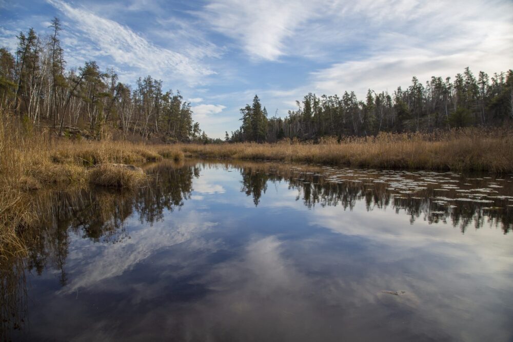 Wetlands are a formidable force of nature that has our back—and Canada is home to a whopping 25 per cent of the planet’s intact wetlands.