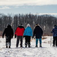 Explore Wetlands in Ontario