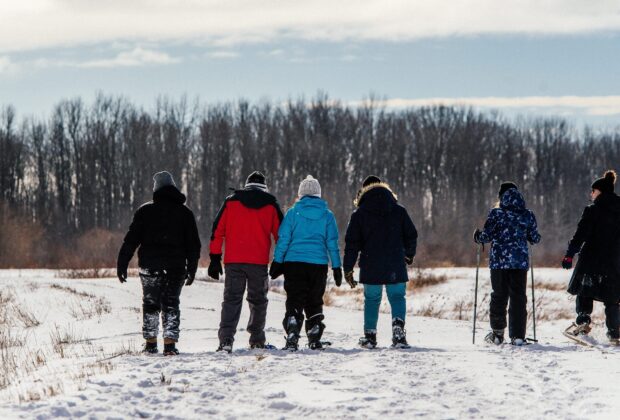 Explore Wetlands in Ontario