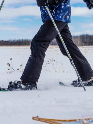 Footsteps in a Winter Wetland