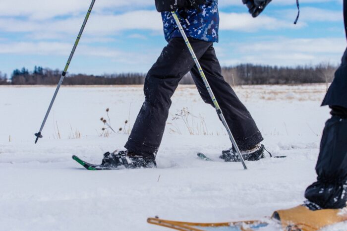 Enjoy the results of Ontario’s conservation successes right outside your door. 