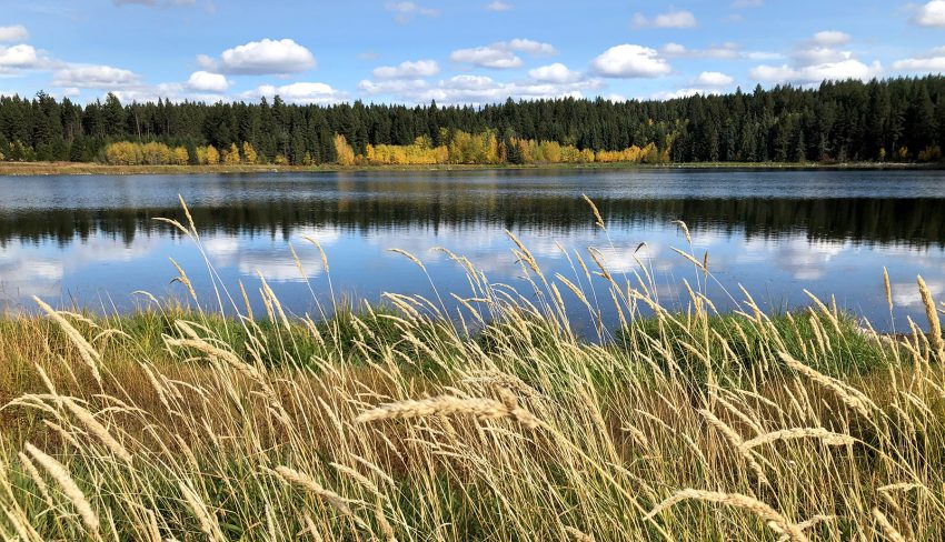 148 Mile Marshes help fight climate change in B.C.’s Cariboo region