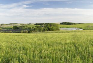 Connecting Cowessess and Lake Winnipeg: Good stewards make great neighbours
