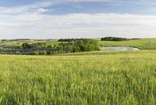 Connecting Cowessess and Lake Winnipeg: Good stewards make great neighbours