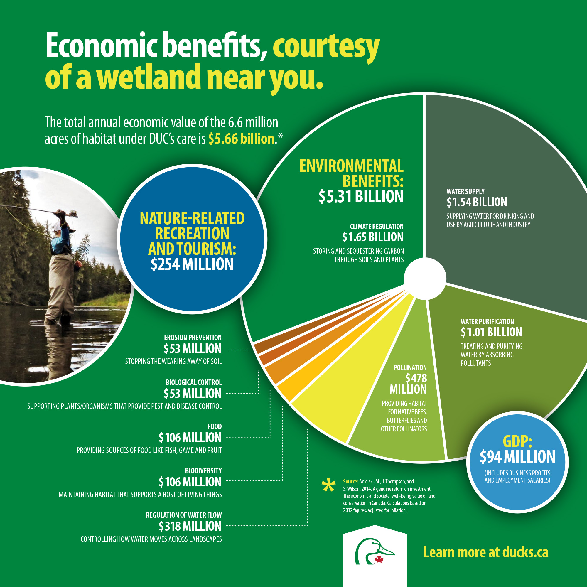 Economic benefits courtesy of a wetland near you