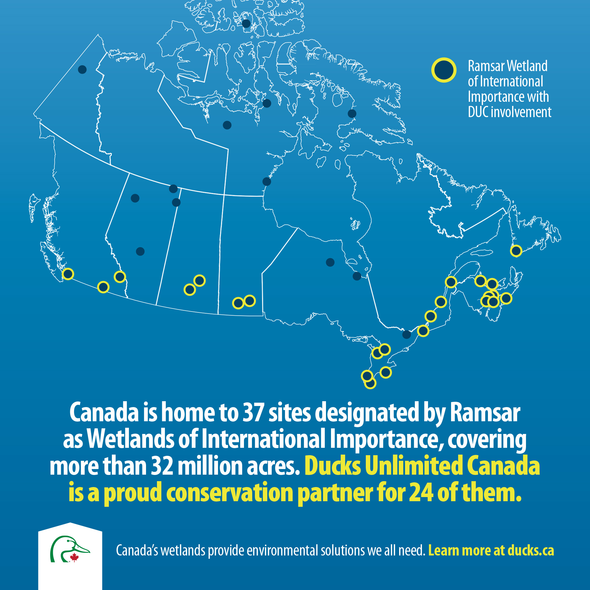 Canada is home to 37 sites designated by Ramsar as Wetlands of International Importance, covering more than 32 million acres. DUC proudly manages 24 (or 65%) of them.