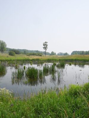 A high-value waterfowl haven in Hastings County