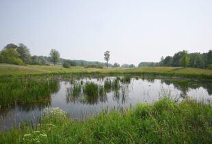 A high-value waterfowl haven in Hastings County