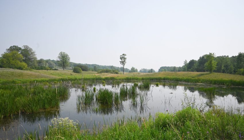 A high-value waterfowl haven in Hastings County