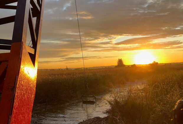 Restorations support wildlife and clean water at thriving wetland in the Holland Marsh