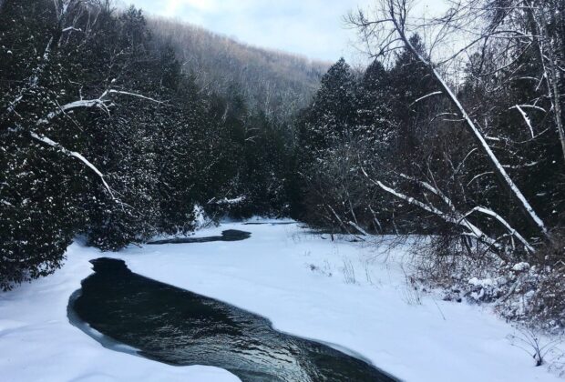 One million acres conserved in Ontario