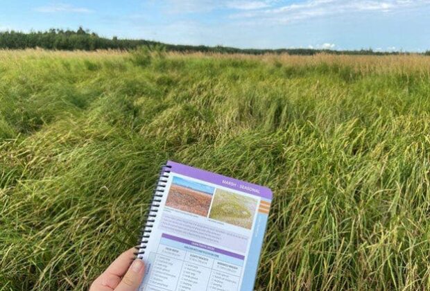 Introducing the Alberta Wetland Classification Field Guide