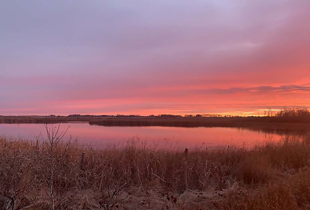 A DUC conservation area near Rapid City, Manitoba.