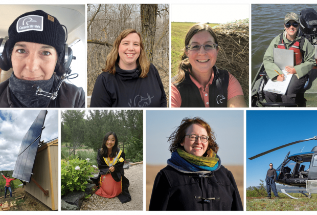 Eight STEM roles that are saving Canada’s wetlands