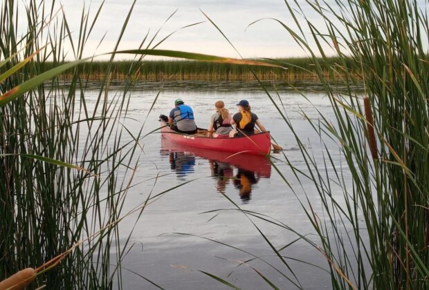 A prairie gem: Oak Hammock Marsh, Manitoba