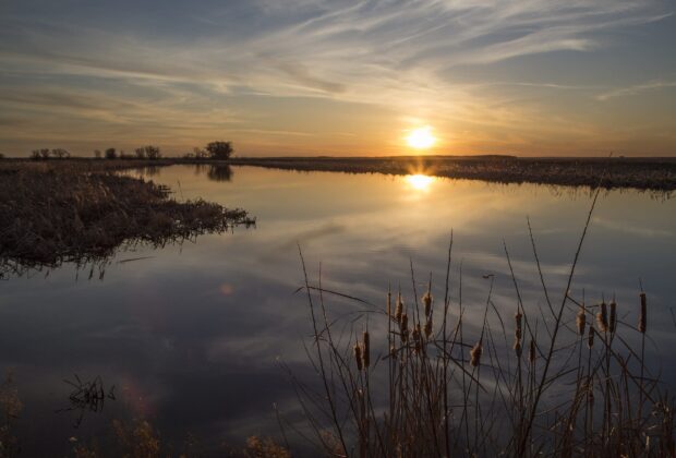 Ducks Unlimited Canada delivers 106 habitat projects with support from  the Natural Heritage Conservation Program