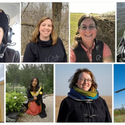 Eight STEM roles that are saving Canada’s wetlands