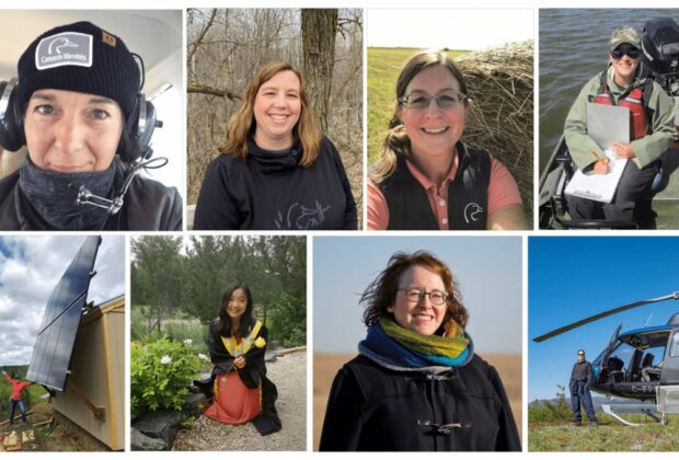 Eight STEM roles that are saving Canada’s wetlands