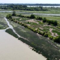 Bringing conservation to life in the Fraser River Estuary