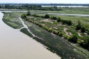 Aerial view of the Fraser River Estuary