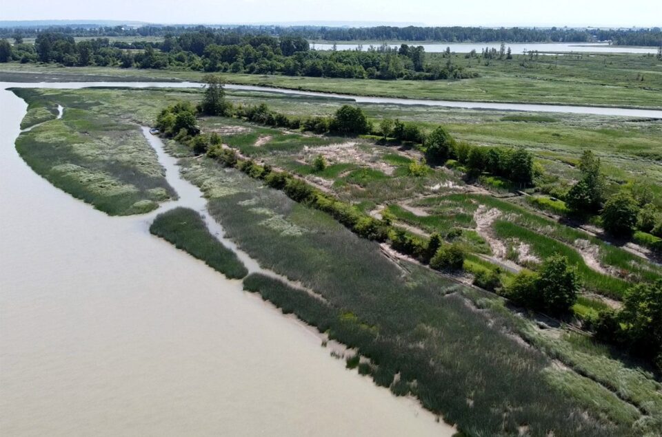 Aerial view of the Fraser River Estuary