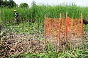 Work being done on the Fraser River Estuary