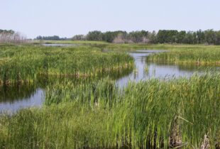 DUC Responds to Saskatchewan Budget 2022-2023