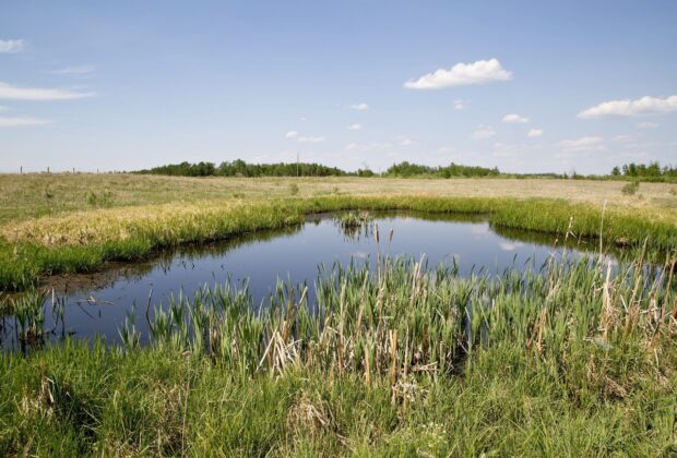 DUC says wetland conservation and restoration are key to Canada’s efforts to reduce emissions and achieve climate goals 