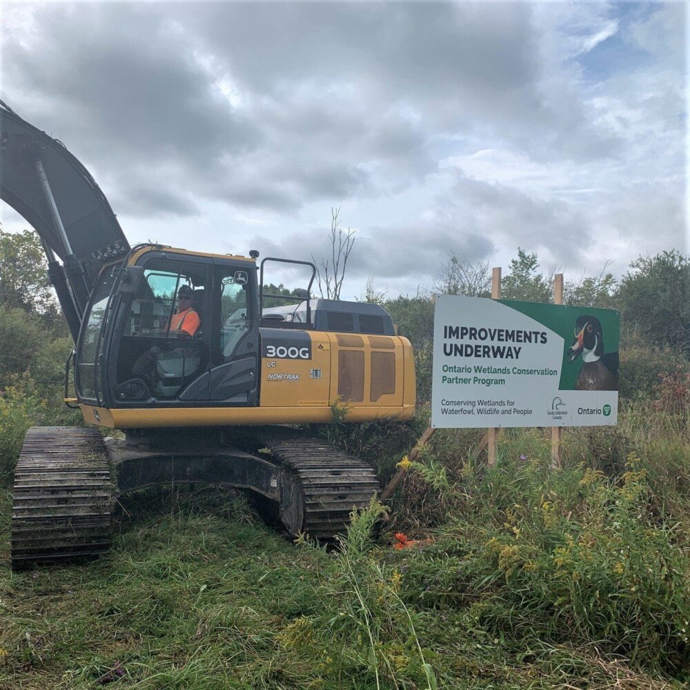 Restoring wetland habitat contributes to the environment and the economy in Ontario’s communities.