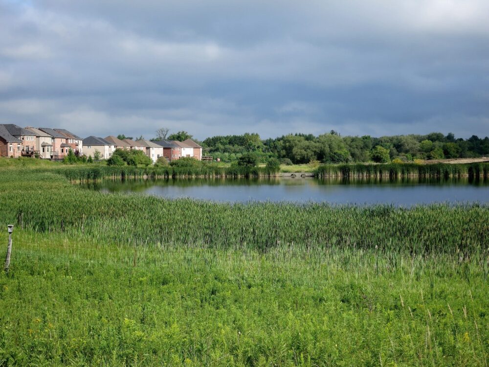 The Nature Force represents a new paradigm in watershed resiliency with an unparalleled insurance industry investment into natural infrastructure.