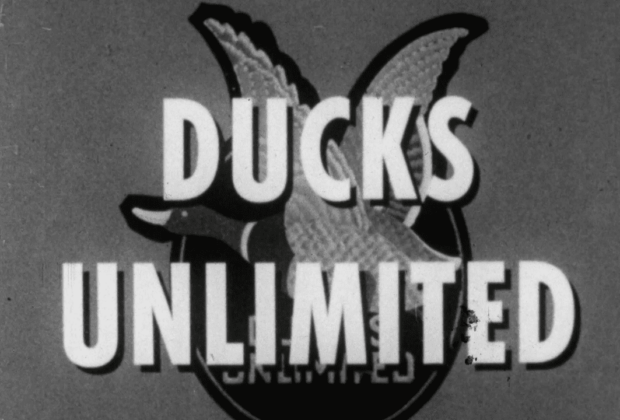 The Story of Ducks Unlimited (circa 1953)