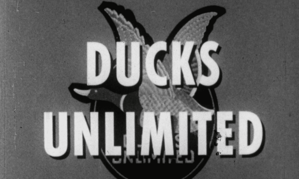 The Story of Ducks Unlimited (circa 1953)