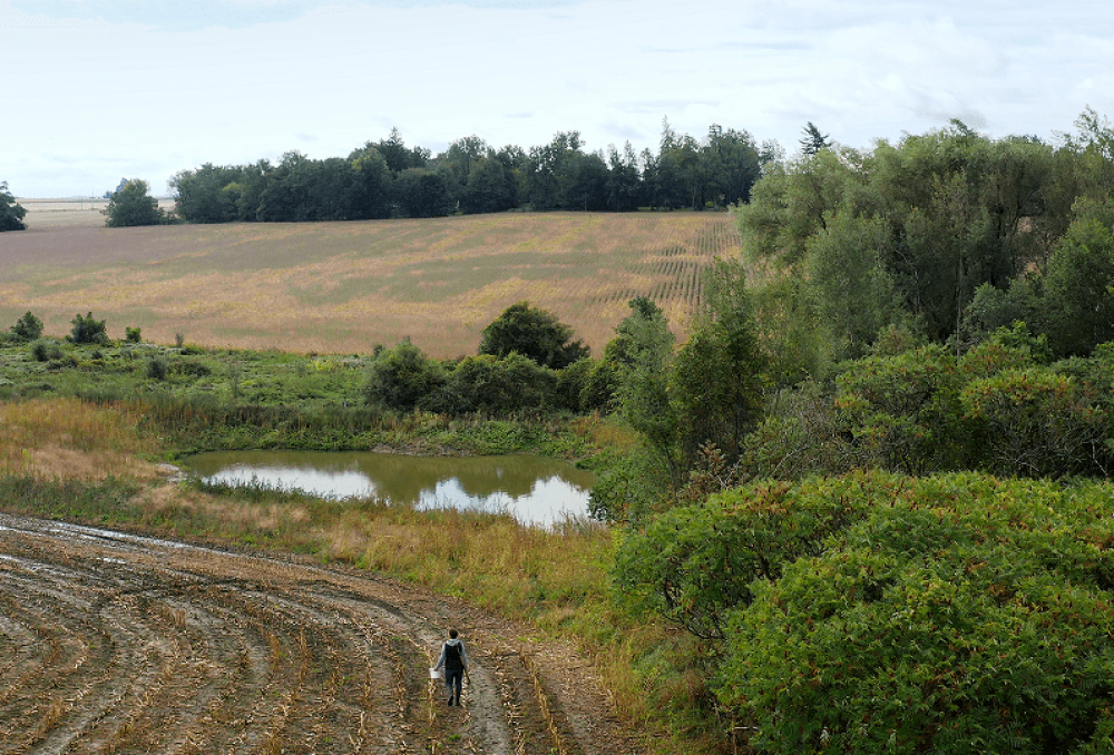 Mary Ann Doré, a seventh-generation dairy farmer, by her restored wetland on her farm in Wellington County, Ont.