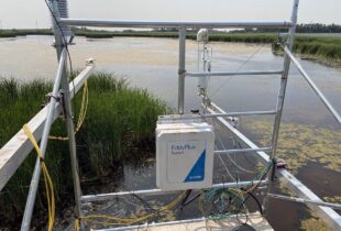 DUC analyzing wetlands on farms and ranches for carbon capture