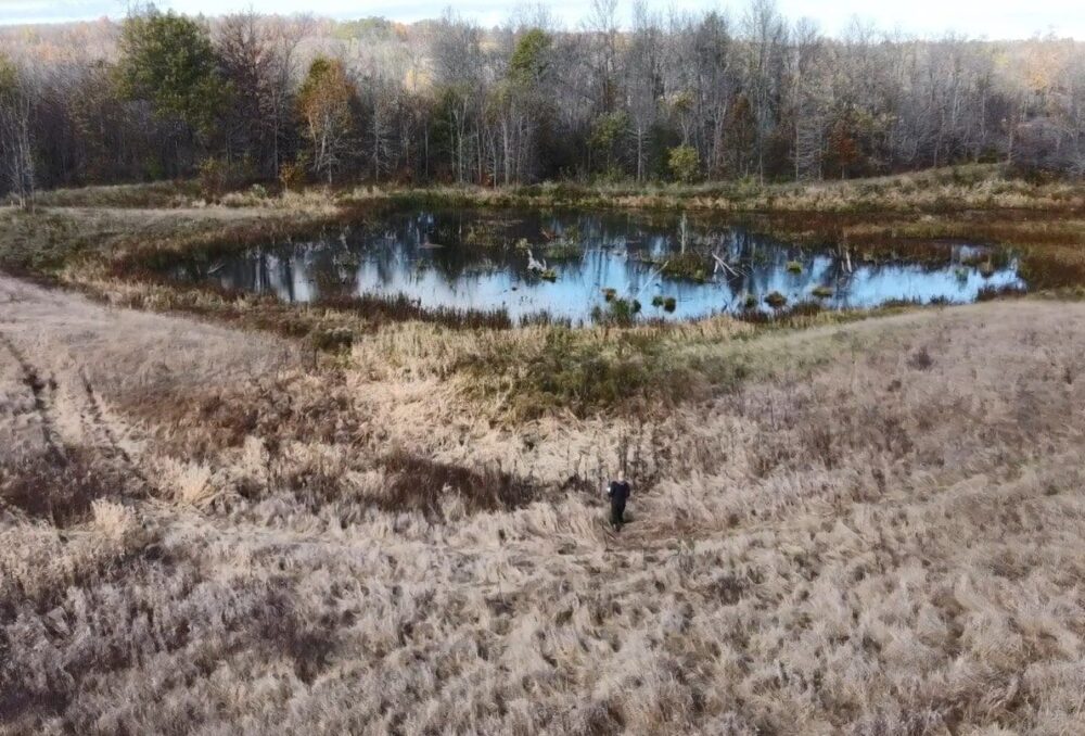 Aerial view of habitat at Cosford Farm, a 300-acre property owned by DUC in Eastern Ontario.