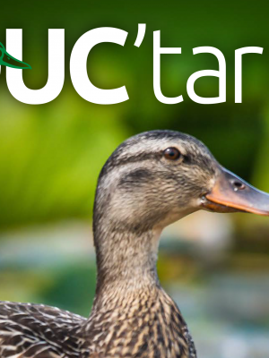 Ontario News from Ducks Unlimited Canada